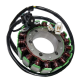 ELECTROSPORT UZWOJENIE ALTERNATORA (STATOR) SUZUKI TL 1000S / TL 1000R (98-03)