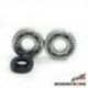 BEARING WORX ŁOŻYSKA WAŁU KORBOWEGO Z USZCZELANIACZAMI KAWASAKI KX 500 '83-'04 (MADE IN JAPAN) (NTN) (24-1011)