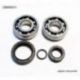 BEARING WORX ŁOŻYSKA WAŁU KORBOWEGO KTM SX 50 10-12, SX50 MINI 09-15 (NTN) (24-1099)