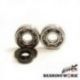 BEARING WORX ŁOŻYSKA WAŁU KORBOWEGO Z USZCZELNIACZAMI KTM SX 65 09-17 (MADE IN JAPAN) (NTN) (24-1103)