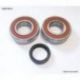 BEARING WORX ŁOŻYSKA WAŁU KORBOWEGO SUZUKI RMZ 250 07-09 (NTN) (23.CBS33007) (K055)