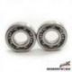 BEARING WORX ŁOŻYSKA WAŁU KORBOWEGO YAMAHA YFM 700 GRIZZLY 07-14 (MADE IN JAPAN) (NTN) (24-1096)