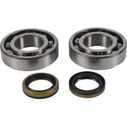 ALL BALLS 2021/12 ŁOŻYSKA WAŁU KORBOWEGO Z USZCZELNIACZAMI BETA EVO 2T 125 '13-'21, EVO 2T 200 '13-'21, EVO 2T 250 '13-'21, EVO