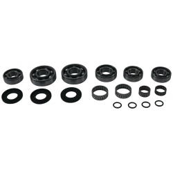 ALL BALLS 2021/12 ZESTAW NAPRAWCZY SKRZYNI BIEGÓW POLARIS Big Boss 300 '94, Big Boss 350L '93, Big Boss 400L '94-'97, Magnum 400