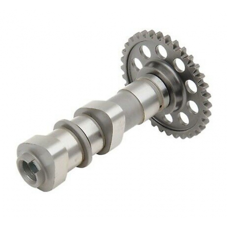 HOT CAMS 2022/01 WAŁEK ROZRZĄDU (SSĄCY) YAMAHA YZ 450F '14-'15 (YZ450F)