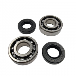 BEARING WORX 2022/02 ŁOŻYSKA WAŁU KORBOWEGO Z USZCZELNIACZAMI KAWASAKI KFX 80 '03-'06, SUZUKI LT-80 '87-'06 (MADE IN JAPAN) (NTN