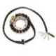 ELECTROSPORT UZWOJENIE ALTERNATORA (STATOR) HONDA XR 600R (85-00), XL 600R (83-87) HIGH POWER (2 X 100W)