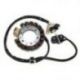 ELECTROSPORT UZWOJENIE ALTERNATORA (STATOR) YAMAHA YFM 350 WARRIOR/ BIG BEAR (87-89) (Z IMPULSATOREM)