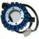 ELECTROSPORT UZWOJENIE ALTERNATORA (STATOR) SUZUKI DL 1000 V-STROM '01-'09 (ŚR.118,00MM)