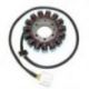 ELECTROSPORT UZWOJENIE ALTERNATORA (STATOR) KAWASAKI ZX-14 NINJA (06-13)