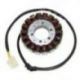 ELECTROSPORT UZWOJENIE ALTERNATORA (STATOR) APRILIA RST 1000 Futura (01-04), ETV 1000 Caponord (02-07)