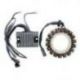ELECTROSPORT UZWOJENIE ALTERNATORA (STATOR) HARLEY DAVIDSON SOFTAIL (00), DYNA (99-03) (TWIN CAM 88) (3 FAZOWY + REGULATOR NAPIĘ