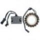 ELECTROSPORT UZWOJENIE ALTERNATORA (STATOR) HARLEY DAVIDSON XL SPORTSTER 883/1200 (04-06) (3 FAZOWY + REGULATOR NAPIĘCIA ESR857