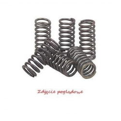 BRONCO 2022/11 SPRĘŻYNY SPRZĘGŁOWE YAMAHA YFM 250 RAPTOR '08-'13, YFM 350 '87-'04, YFM 350 RAPTOR '04-'13, YFP 350U '88, YFZ 450