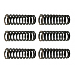 PSYCHIC 2022/11 SPRĘŻYNY SPRZĘGŁOWE SUZUKI RMZ 250 '07-'09, (EBS125)