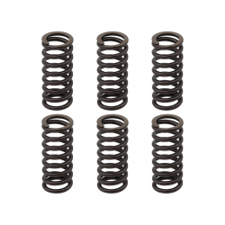 PSYCHIC 2022/11 SPRĘŻYNY SPRZĘGŁOWE KTM EXC 250 RACING '02-'05, EXC-F 250 '03-'04, EXC 400 '01-'07, SX/MXC '00-'02, EXC/MXC/SMR/