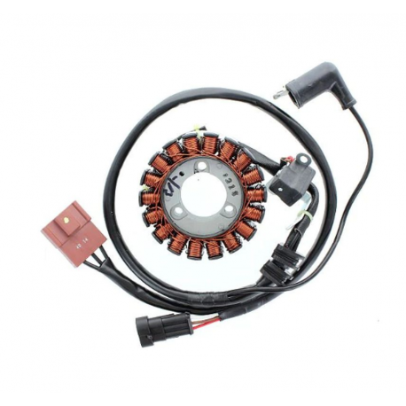 ELECTROSPORT UZWOJENIE ALTERNATORA (STATOR) APRILIA / GILERA / ITALJET / MALAGUTI / PIAGGIO / VESPA 125/250/300/500CCM