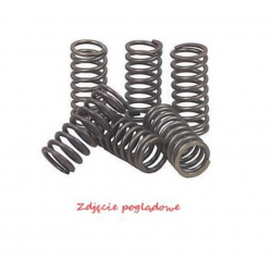 NACHMAN 2022/12 SPRĘŻYNY SPRZĘGŁOWE KAWASAKI KLX 450R '08-'12, KX 450F '06-'11