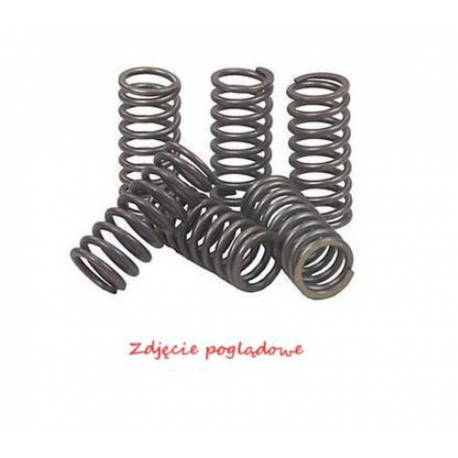 NACHMAN 2022/12 SPRĘŻYNY SPRZĘGŁOWE KAWASAKI KLX 450R '08-'12, KX 450F '06-'11