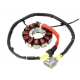 BRONCO 2022/08 UZWOJENIE ALTERNATORA STATOR CAN AM MAVERIC 800/COMMANDER 1000/MAX 1000 /DEFENDER MAX/PRO /TRAXTER MAX/PRO '20-21