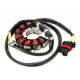 BRONCO 2022/08 UZWOJENIE ALTERNATORA STATOR CAN AM MAVERIC TURBO RR/MAX TURBO RR '21, (420686363)