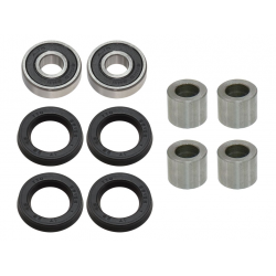 BRONCO 2023/05 ZESTAW NAPRAWCZY WAHACZA PRZEDNIEGO DOLNEGO/GÓRNEGO (A-ARM) KAWASAKI KVF 300 BRUTE FORCE '12-'21 (50-1152)