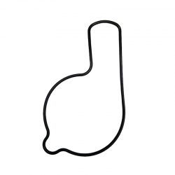 ATHENA 2023/02 USZCZELKA POMPY WODY HONDA TRX 450R '04-'05 (OEM: 19226HP1670)