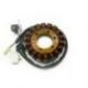 ELECTREX UZWOJENIE ALTERNATORA STATOR YAMAHA XP 250 MAJESTY