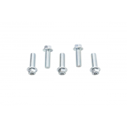 ACCEL 2023/08 ŚRUBA KOŁNIERZOWA M8X25MM Z WKLĘSŁYM ŁBEM BEZ OZNACZEŃ (5 SZT.)