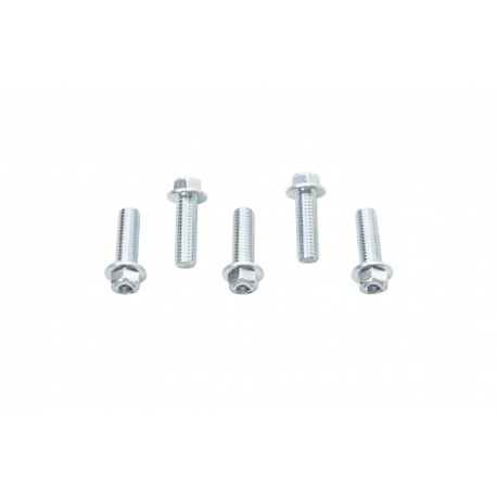 ACCEL 2023/08 ŚRUBA KOŁNIERZOWA M8X25MM Z WKLĘSŁYM ŁBEM BEZ OZNACZEŃ (5 SZT.)