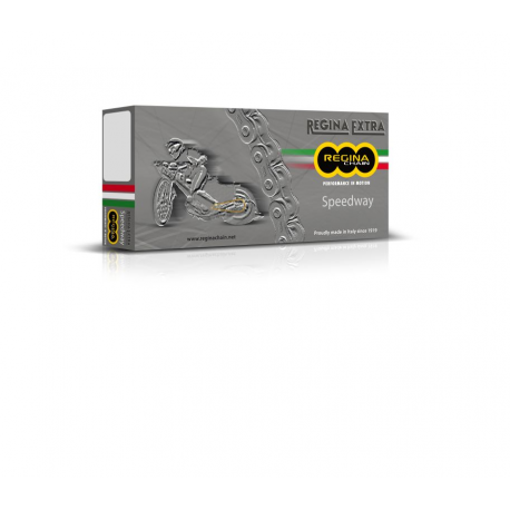 REGINA ŁAŃCUCH NAPĘDOWY 520EBS-ORO (96 OGNIW) SPEEDWAY DO 500 CCM ZŁOTY (ZAPINKA) (135EBSORO/00E) (BEZ ORINGÓW)