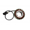 ELECTROSPORT 2025/02 UZWOJENIE ALTERNATORA STATOR DUCATI 899 / 959