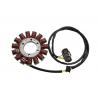 ELECTROSPORT 2025/02 UZWOJENIE ALTERNATORA STATOR DUCATI SUPERBIKE 1299 STANDARD / PANIGALE / S