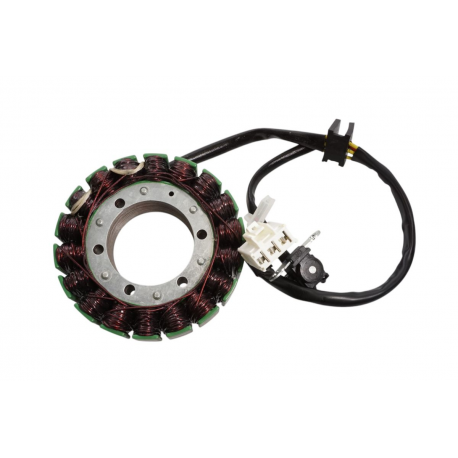 ELECTROSPORT 2025/02 UZWOJENIE ALTERNATORA STATOR SUZUKI DL 1000 V-STROM
