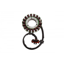 ELECTROSPORT 2025/02 UZWOJENIE ALTERNATORA STATOR POLARIS RZR 1000