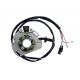 ELECTREX UZWOJENIE ALTERNATORA (STATOR) GAS GAS EC 125, EC250