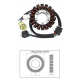 DZE UZWOJENIE ALTERNATORA STATOR YAMAHA YFM 250 BRUIN '05-'06 YFM 250 BIG BEAR '07-'09 YFM 250 BEAR TRACKER '01-'05 YFM 660 RAPT