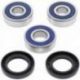 ALL BALLS ŁOŻYSKA KOŁA TYLNEGO Z USZCZELNIACZAMI HONDA VT 600 C '88-'00, CBR 600 F '87-'90, CB 750 SEVEN FIFTY '91-'02, CB450SC`