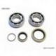 BEARING WORX ŁOŻYSKA WAŁU KORBOWEGO BETA 2T 250/270/290/300 ALL, 250/300 RR '13-17 (NTN) (23.CBS73013)