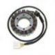 ELECTROSPORT UZWOJENIE ALTERNATORA (STATOR) HONDA RVT 1000R (00-06)