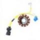 ELECTROSPORT UZWOJENIE ALTERNATORA (STATOR) APRILIA / DERBI / GILERA / ITALJET / MALAGUTI / PIAGGIO / VESPA 125/150/200CCM