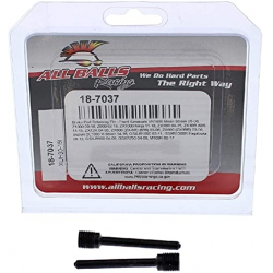 ALL BALLS TRZPIENIE (WIESZAKI) KLOCKÓW HAMULCOWYCH PRZÓD KAWASAKI VN1600, Z1000/900, ZX10R, ZX12R, ZX6R, SUZUKI DL1000, GSXR 600