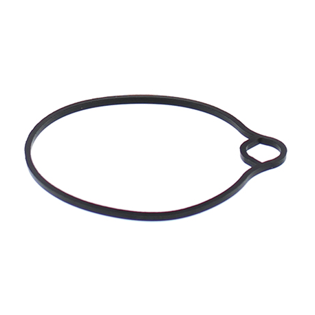 ALL BALLS USZCZELKA KOMORY PŁYWAKOWEJ GAŹNIKA ARCTIC CAT 50 DVX 06-08, 90 DVX 06-18, HONDA CH80 85-07, EZ90 91-96, NH80 83-84, K