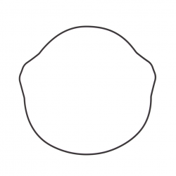 WINDEROSA (VERTEX) USZCZELKA POKRYWY SPRZĘGŁA HONDA XR 400R 96-04, TRX 400EX '99-13 (ORING) (ZEWNĘTRZNA)