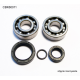 BEARING WORX ŁOŻYSKA WAŁU KORBOWEGO KTM SX 50 10-12, SX50 MINI 09-15 (NTN) (24-1099)