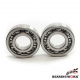 BEARING WORX ŁOŻYSKA WAŁU KORBOWEGO YAMAHA YFM 700 GRIZZLY 07-14 (MADE IN JAPAN) (NTN) (24-1096)