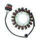 ELECTROSPORT UZWOJENIE ALTERNATORA (STATOR) POLARIS RANGER RZR 900 (13-14), RZR 1000 (14-15)