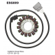 ELECTROSPORT UZWOJENIE ALTERNATORA (STATOR) YAMAHA YZF-R1 (09-14)