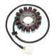 ELECTROSPORT UZWOJENIE ALTERNATORA (STATOR) KAWASAKI ZX-14 NINJA (06-13)