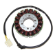 ELECTROSPORT UZWOJENIE ALTERNATORA (STATOR) APRILIA RST 1000 Futura (01-04), ETV 1000 Caponord (02-07)